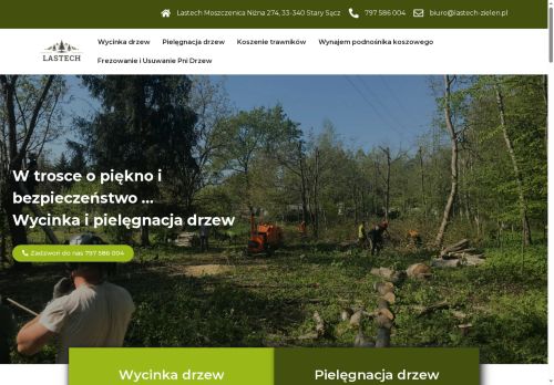 Wycinka drzew i pielęgnacja