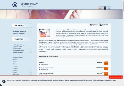 Oferty pracy, jakie zawody dają najwyższe zarobki