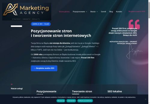 Widzialność eksperci od SEO online